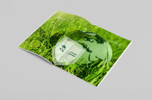 圆颗粒钾肥产品手册 高效农业的营养之选